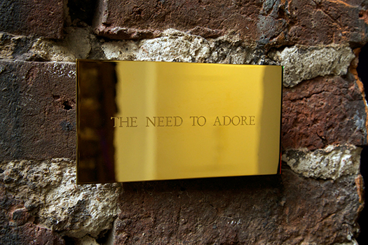 The Need to Adore / Karim Zeriahen
